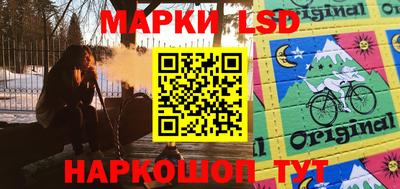 стафф Можга